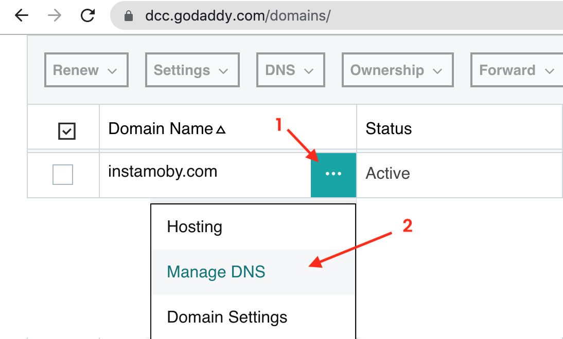 Click on the three dots and select Manage DNS